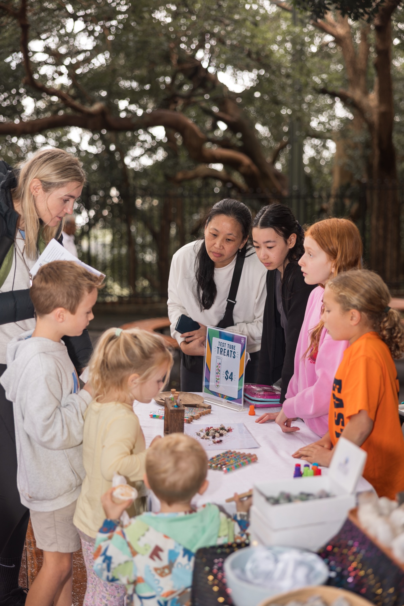 STEMFEST photo